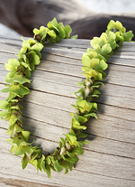 single green orchid lei